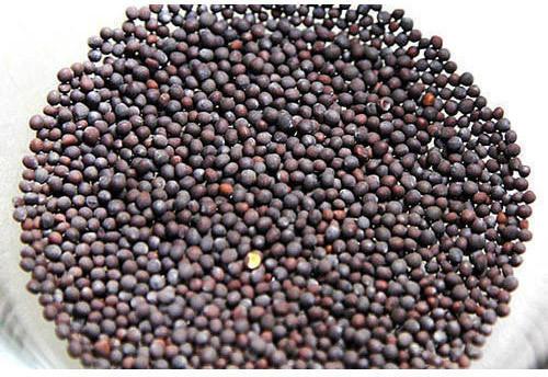 Organic Black Mustard Seeds