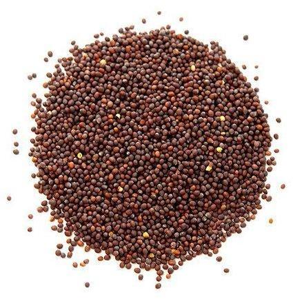 Organic Mustard Seeds, Packaging Type : Jute Bag, Plastic Bag