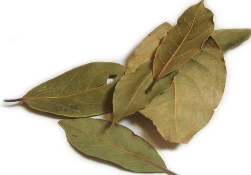 Bay Leaves, Form : Solid