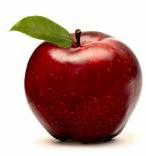 Fresh apple, Shelf Life : 15 Days