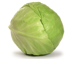 Fresh cabbage, Storage Tips : Store In A Cool Place