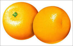 Fresh Orange, Packaging Type : Carton Box