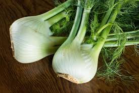 Organic Fennel Bulb, Shelf Life : 15 Days