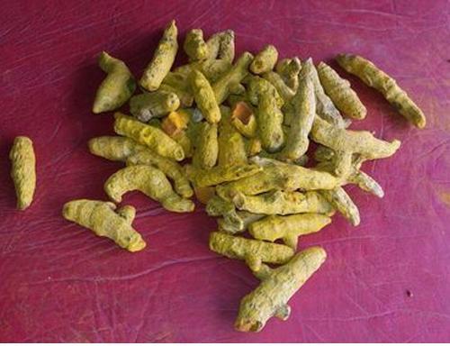 Organic Turmeric Finger, Packaging Size : 50 Kg