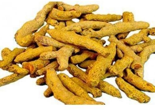 Unpolished Turmeric Finger, Packaging Size : 50 Kg