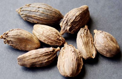 Large Cardamom