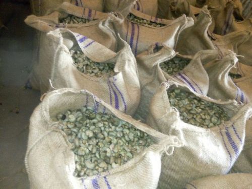 SUN DRYING FARM Raw Cashew Nuts, Grade : TOP