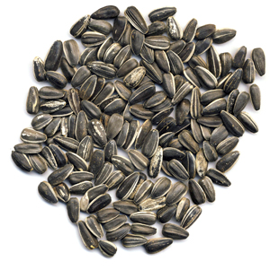 Sunflower Seeds