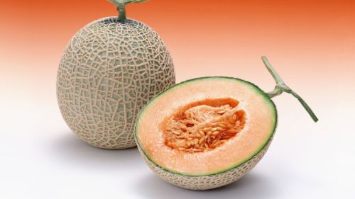 Fresh Sweet Melon