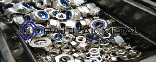 Stainless Steel 304 Nuts