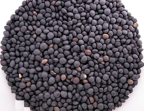 Black Lentils