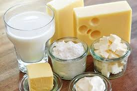 Dairy Products