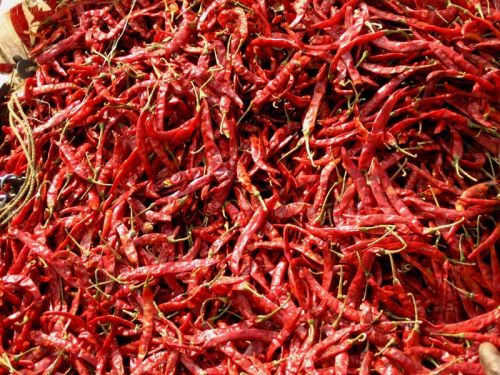 Dry Red Chilli