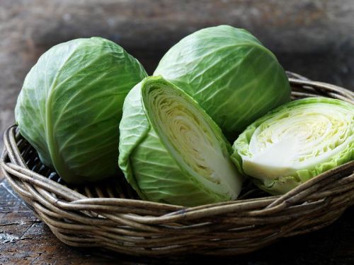 Organic Fresh Cabbage, Color : Green, Red