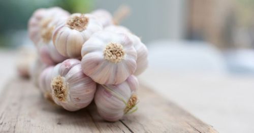 Organic Fresh Garlic, Packaging Type : Carton