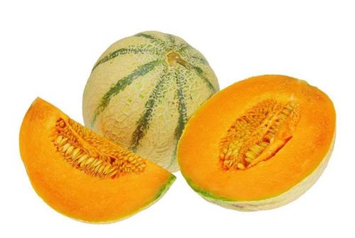 Organic Fresh Musk Melon, Color : Yellow