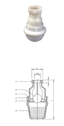 Screw End PP Foot Valve