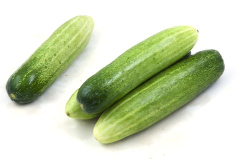Organic Cucumber