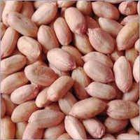 Groundnut seeds