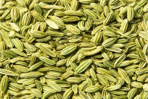 Fennel Seeds