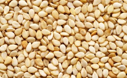Sesame seeds, Grade Standard : Food Grade