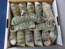 Frozen Whole Lobster, Frozen Lobster Tail, Packaging Type : Box