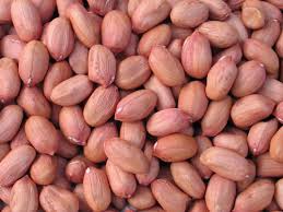 Raw Groundnuts Kernel, Brand Name : SONGSFOODS, Grade : FIRST GRADE