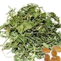 Dried fenugreek leaves, Storage Condition : Dried