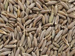 White Cumin Seeds