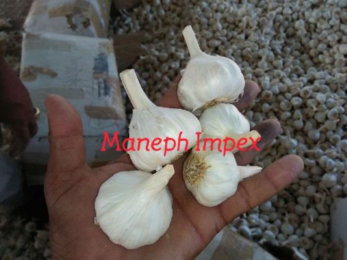 Garlic, Application : Snacks, Fast Food, Cooking