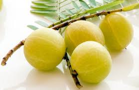 Fresh Amla