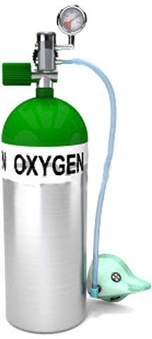 Oxygen Cylinders