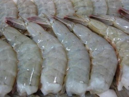 Frozen Vannamei White Shrimps