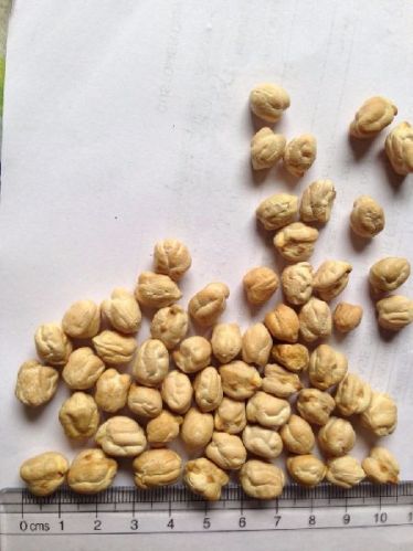 COMMON 12 Mm Kabuli Chickpeas, Packaging Type : 25/50KG BAGS
