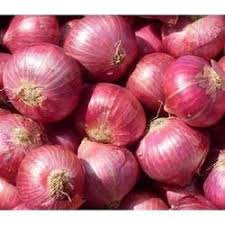 GONDWANA Red Onion