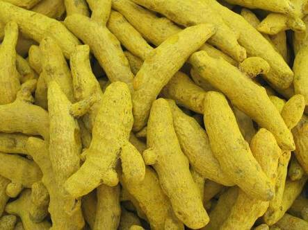 Turmeric finger, Shelf Life : 12 Months