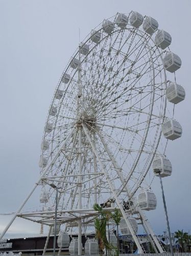 Ferris Wheel Amusement Ride
