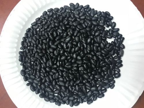 Black Kidney Beans