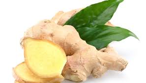 Fresh Ginger