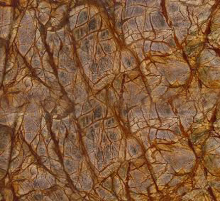 Brown Rainforest Marble