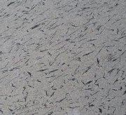 French White Granite