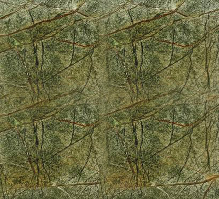 Green Rainforest Marble