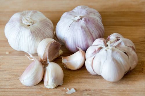 Common Fresh Garlic, Color : White