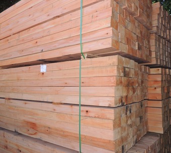 EUCALYPTUS LOGS SAWN WOODS