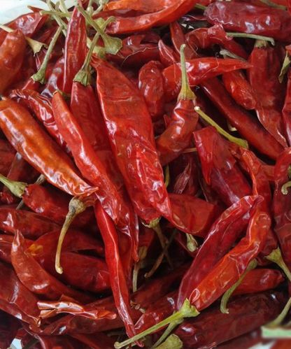 Dried Red Chilli