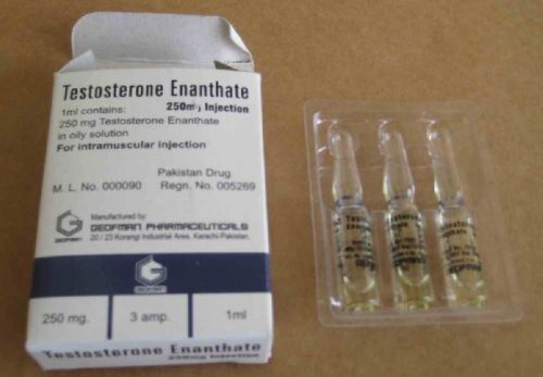 Testosterone enanthate, Packaging Type : Box