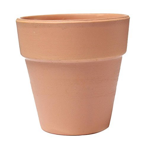 Garden Flower Pot