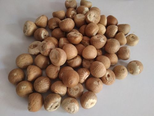 Areca Nut