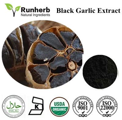 Black Garlic Extract