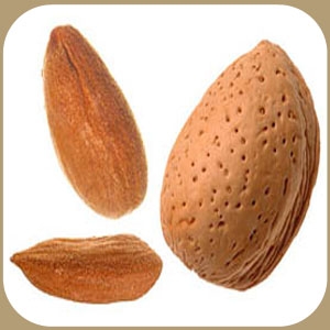 Raw Almonds Nuts In Shell